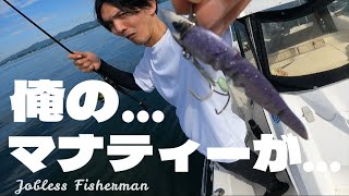 水温27℃強の浜名湖内で魚が釣れるかボトムワインドとサビキ釣りして調査してみた What can I fish in Lake Hamana [upl. by Nala]