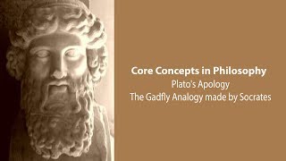 Plato Apology  Socrates Gadfly Analogy  Philosophy Core Concepts [upl. by Jauch195]