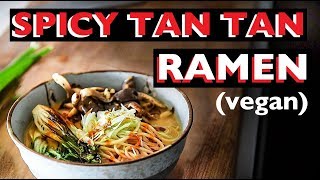 VEGAN RAMEN RECIPE  How to make easy Spicy Tantanmen Broth ビーガンラーメン [upl. by Atiuqer550]