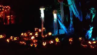 Naumkeag Pumpkin Show [upl. by Aiahc348]