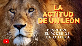 🔥 Videos de Motivacion  EL PODER DE LA ACTITUD  video de motivacion a nivel 100 Inspiracion [upl. by Asaret]