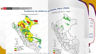 MANEJO DE ENVENENAMIENTO POR ANIMALES DE PONZOÑA [upl. by Areehs]