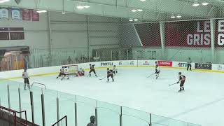 HIGHLIGHTS 20240210 U16 AA Raiders vs Sting T 11 [upl. by Ahtanaram]