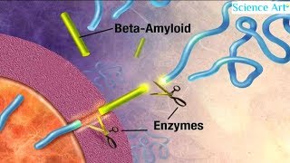 How Alzheimers Disease Works Animation Causes Stages Symptoms Diagnosis Treatment Prevention Video [upl. by Florine]