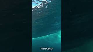 PHYTOMER Thalassotherapy for All [upl. by Magnuson]