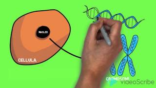 La struttura del DNA  Lezione animata [upl. by Pappas]