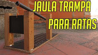 JAULA TRAMPA PARA RATAS casera [upl. by Ysle]