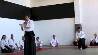 Aikido Seminar with Philippe Orban Sensei 6th Dan Aikido  Jikishin Dojo Auckland [upl. by Nnor]