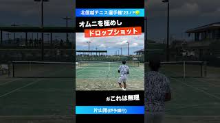 オムニを極めたドロップショット【北信越テニス選手権2023決勝戦】片山翔伊予銀行 shorts テニス tennis [upl. by Ellinad]