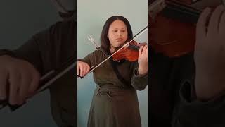 Toss A Coin To Your Witcher Violin Cover shorts [upl. by Talyah383]