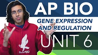 AP Biology Unit 6 Crash Course Gene Expression and Regulation [upl. by Aiet158]