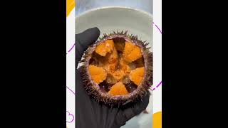 Asmr Cutting Sea Urchin allasmr10 asmr asmrcutting asmrfood asmrseafood [upl. by Dammahum625]