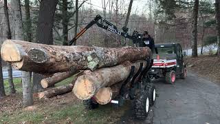 CX9t  CaMex Log Loader Trailer  Part 02 of 02 [upl. by Amihc608]