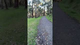 Dendenong Ranges National Park [upl. by Modnarb784]