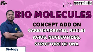 Biomolecules Class 11 Biology NEET  Carbohydrates Nuclei Acids Nucleotides Structure of DNA [upl. by Anirehtak]