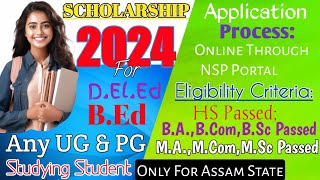 BEd amp DElEd Scholarship 2024NSP Scholarship 2024NEC Merit ScholarshipEligibilityProcess [upl. by Kizzee]