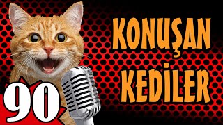 Konuşan Kediler 90 En Komik Kedi Videoları PATİ TV [upl. by Annerahs502]