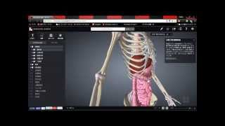 BioDigital 3D Human アプリ無料 人体教育に最適 [upl. by Melisande]