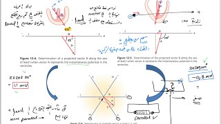 ECG part2 vectorial analysisDeviationcurrent of injury شرح [upl. by Notnirt]