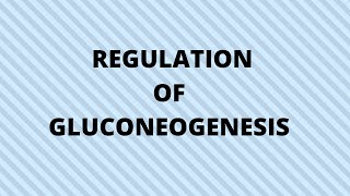 regulation of gluconeogenesis [upl. by Einahpit]