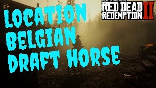 Red Dead Redemption 2 Belgian draft horse location [upl. by Baese]