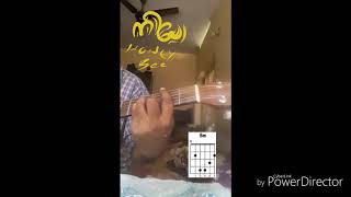 Neeyo honey bee guitar chords Nizhalariyathe niramaniyu [upl. by Nitreb283]