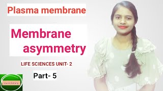 Membrane asymmetry  Plasma membrane  LIFE SCIENCES  In Hindi  By Onee gupta [upl. by Eetsirk]