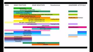 Antibiotic Coverage Made Easy  USMLE  COMLEX [upl. by Ahilam]