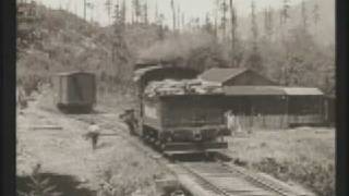 Buster Keaton clip from quotThe Generalquot  Erich Lieth at the piano [upl. by Shelbi]