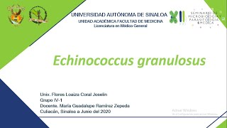 12 Equinococcus granulosus [upl. by Zat]