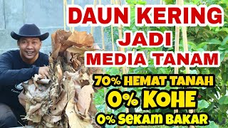 KOPI  DAUN KERING jadi MEDIA TANAM [upl. by Rebhun]