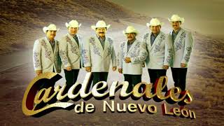 MIX LOS CARDENALES DE NUEVO LEÓN PUROS CORRIDOS [upl. by Ardnuaet]