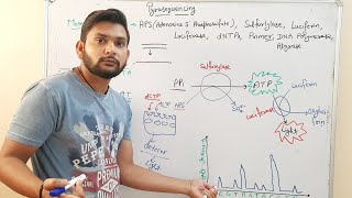 PyrosequencingDNA Sequencingin Hindi [upl. by Margarete]