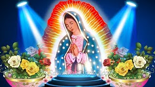 LA VIRGEN GUADALUPANA  LA MAS HERMOSA Padre Moisés Lárraga [upl. by Arakahs]