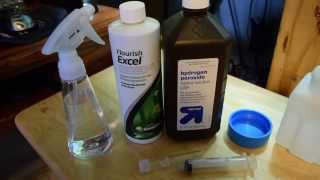 Green hairBeard algae treatment 2 [upl. by Boleslaw]