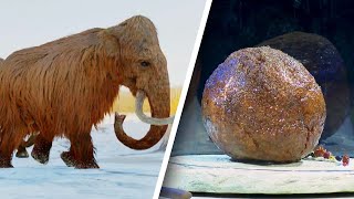 Mammoth Meatball Created With Extinct DNA [upl. by Anette]