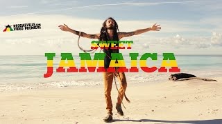 Quartiere Coffee  In Jamaica Official Video 2016 [upl. by Marj904]