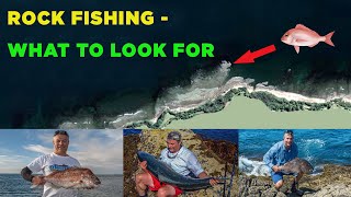 HOW TO FIND A GOOD ROCK FISHING SPOT FOR SNAPPER KINGFISH KAHAWAI TREVALLY [upl. by Hoopen]