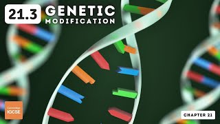 IGCSE Biology  Genetic modification 213 [upl. by Mala887]