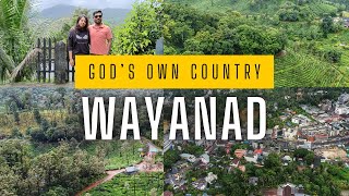 Wayanad  Complete Travel Guide  Tourist Places  Off the Road [upl. by Herrle501]