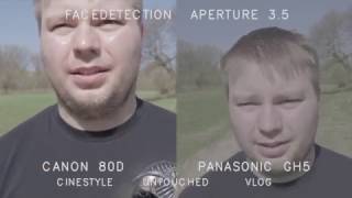 80D vs GH5 autofocus daylight [upl. by Ballman]