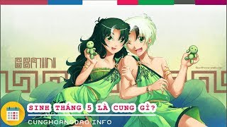 Sinh tháng 5 là cung hoàng đạo gì  Cunghoangdaoinfo [upl. by Gnoc]