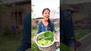 Aaj khana chulhe par banega😍MissHosiyarshorts vlog minivlog 329 [upl. by Assiren274]