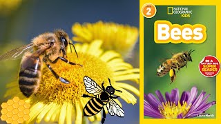 National Geographic Readers Bees  read aloud science book [upl. by Esyak778]