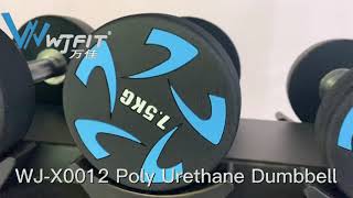 Best Selling Urethane Dumbbells For Home Gym Workout [upl. by Cy725]