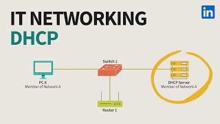 IT Networking Tutorial  DHCP overview for IPv4 and IPv6 [upl. by Yssirhc317]