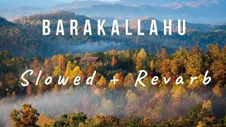 BarakAllahuMotivetionalNasheed Slowed  Revarb  HD mp4 [upl. by Aihsot]