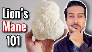 Lions Mane Mushroom for Anxiety and Brain Function  Does Lion’s Mane Work [upl. by Nysa945]