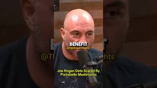 Joe Rogan Gets Scared By Portobello Mushrooms shorts joerogan podcast jre mushroom [upl. by Laughton]