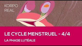 Le cycle menstruel  La phase lutéale [upl. by Ahsino]